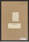 Hemiaulus levissimus Grun. (de-Toni-Nr.: Genus 117, Species 3352) Zeichnungen Sammlung Grunow Nr. 6761 (NHMW-BOT-W0375589)